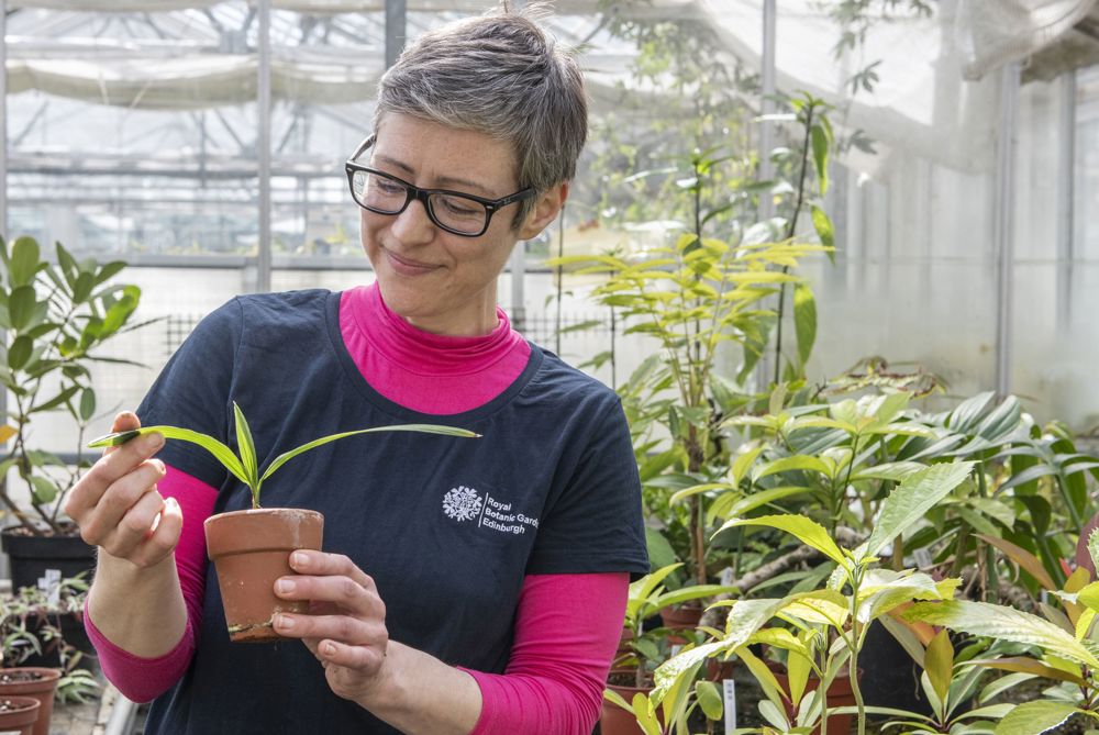 Sadie with sable tree seedling