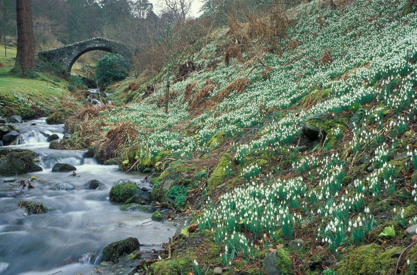 Water stream at bottom of hill