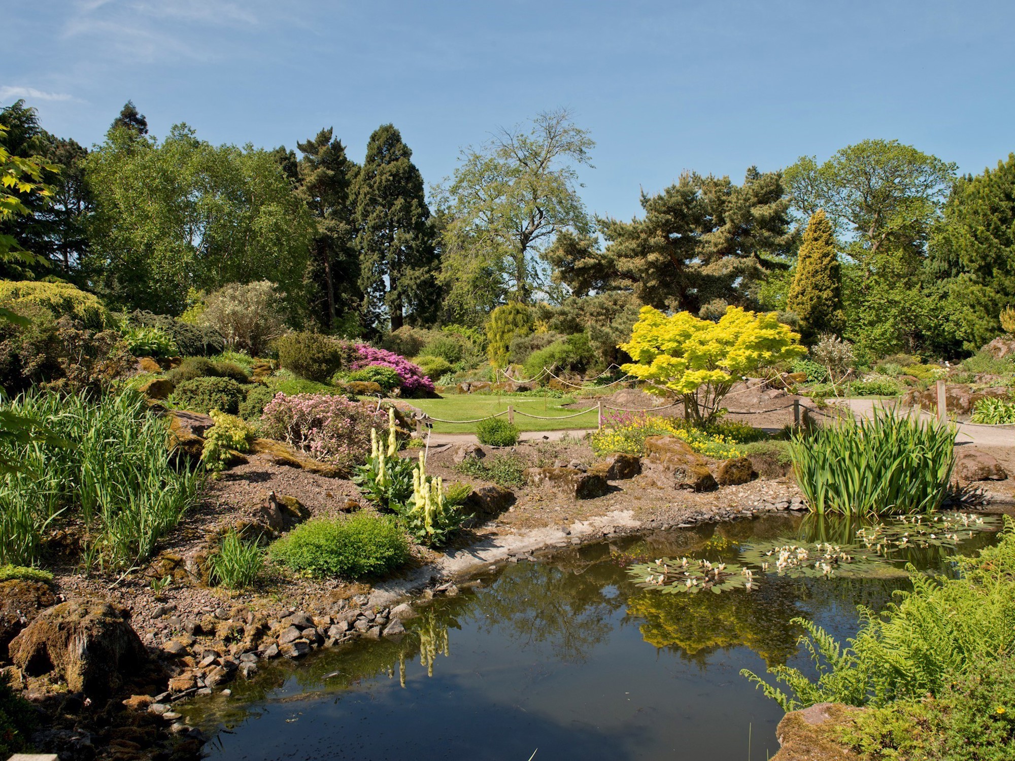 Rock Garden