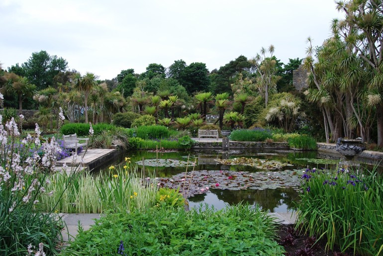 The pond in Logan's Walled Garden