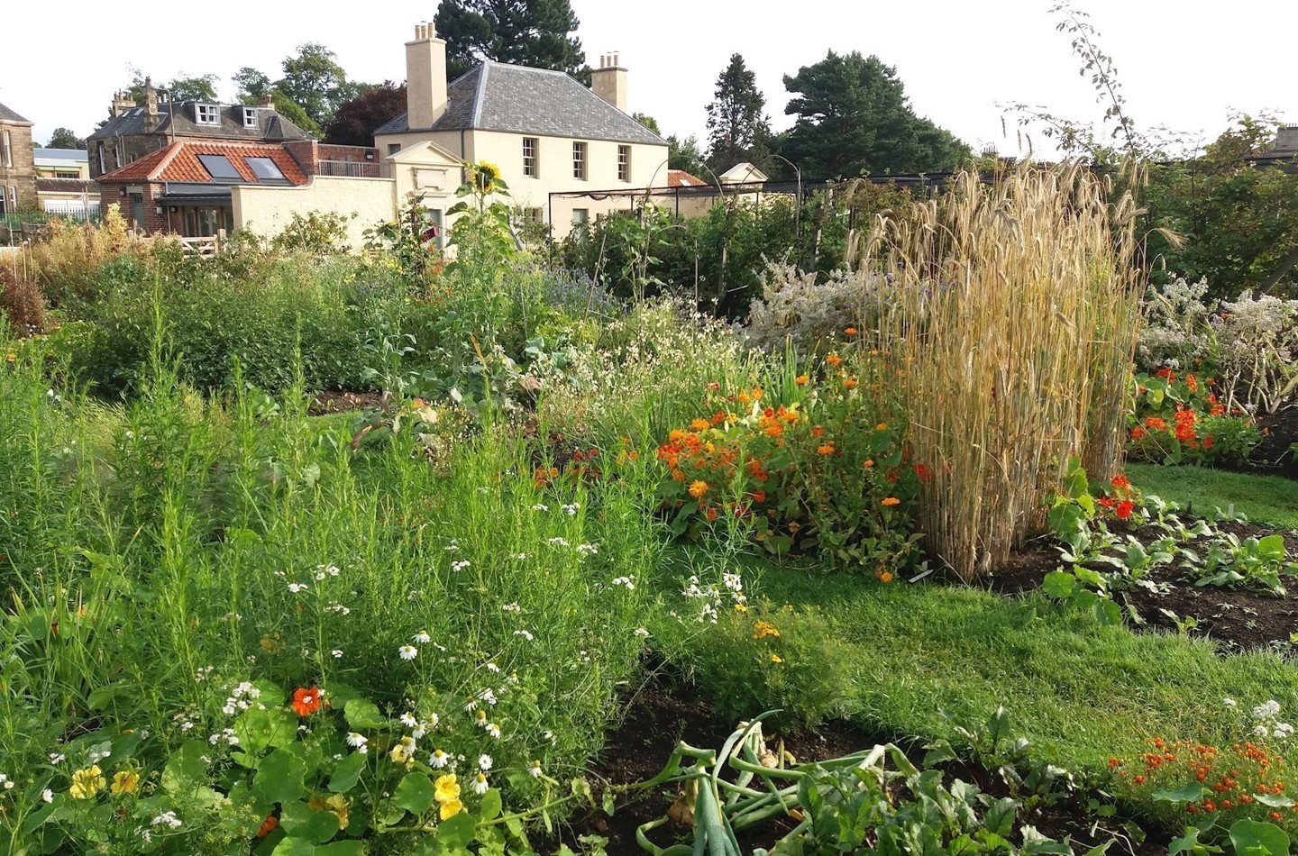 Demonstration Garden