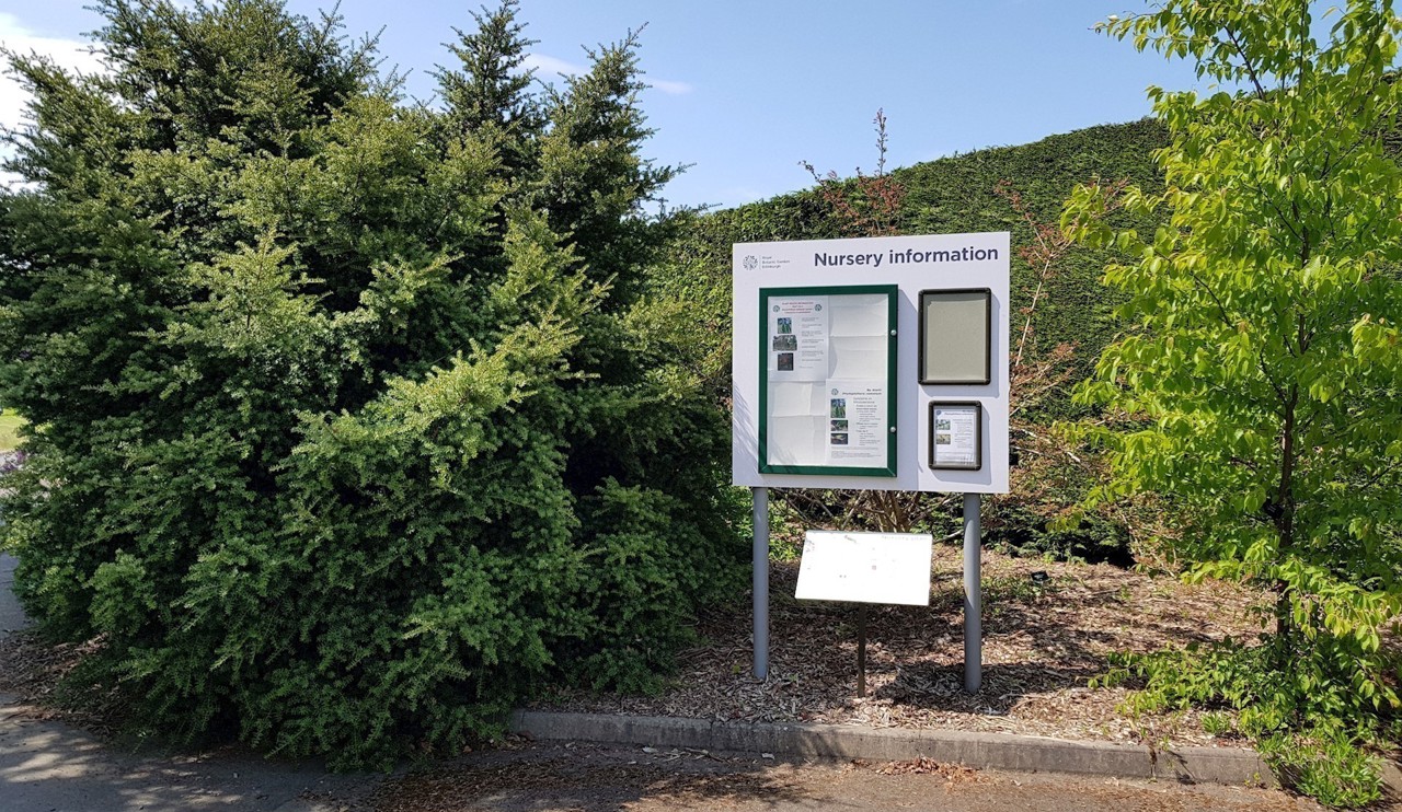 An information board sits between trees