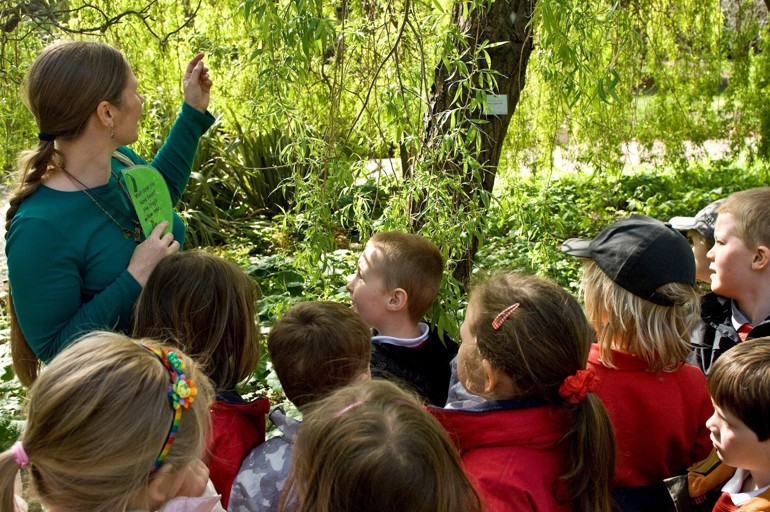 A teacher showing children a tree