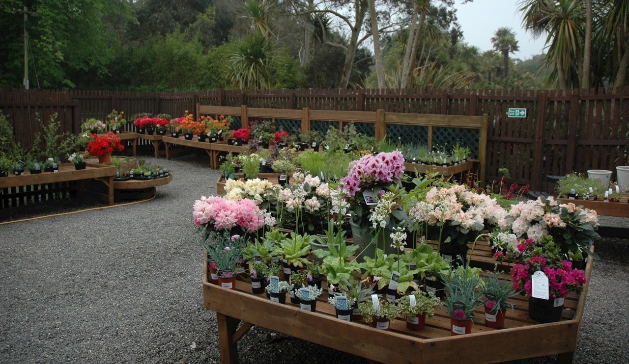 Logan Shop Plant sales area