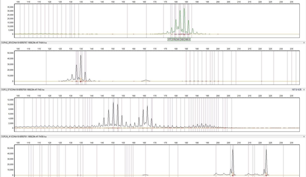 Genetic Data