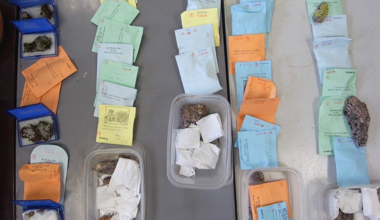 Collection of packets and samples from a lichen collecting expedition