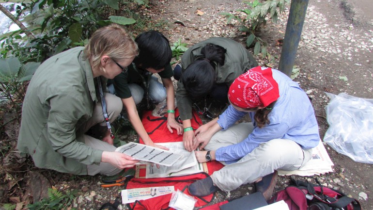 MSc students collecting Herbarium specimens in Colombia 