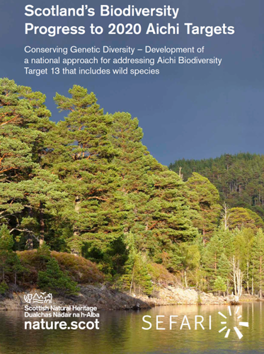 The cover of "Scotland's Biodiversity: Progress to 2020 Aichi Targets" main report, featuring pine forest and a loch