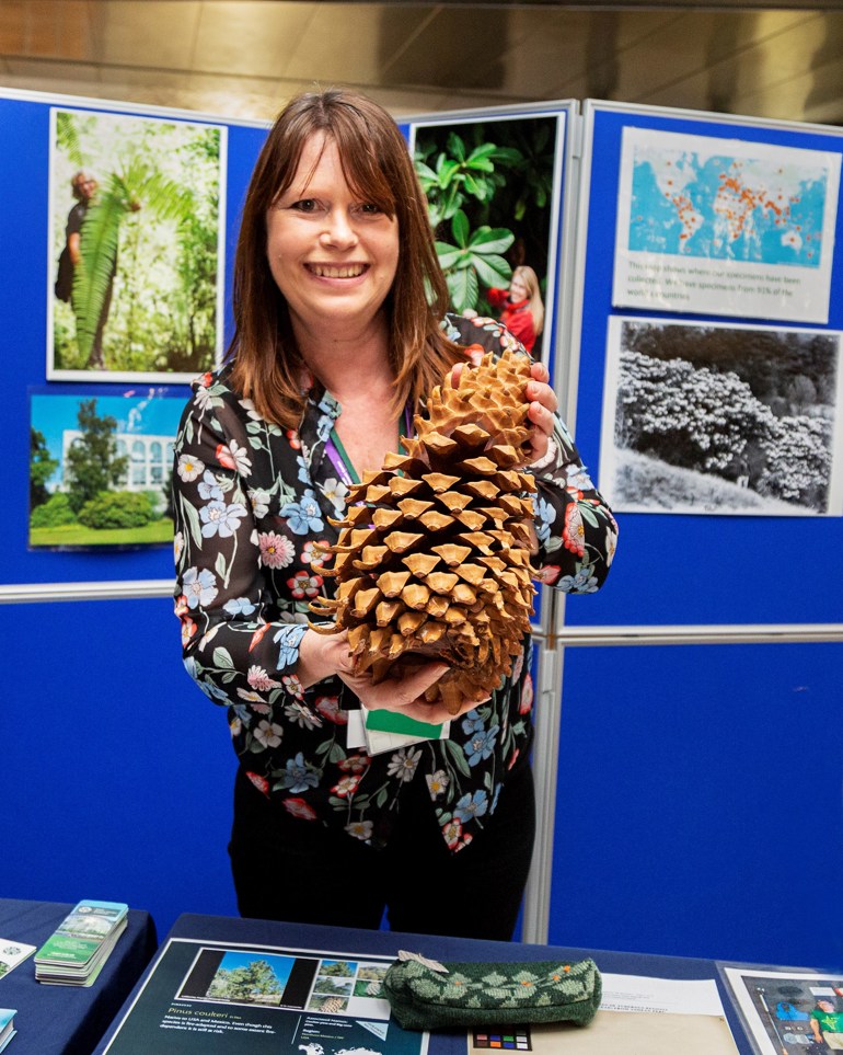 Lesley Scott with Pinus Coulteri, native to California and Mexico, the biggest cones of any pine species