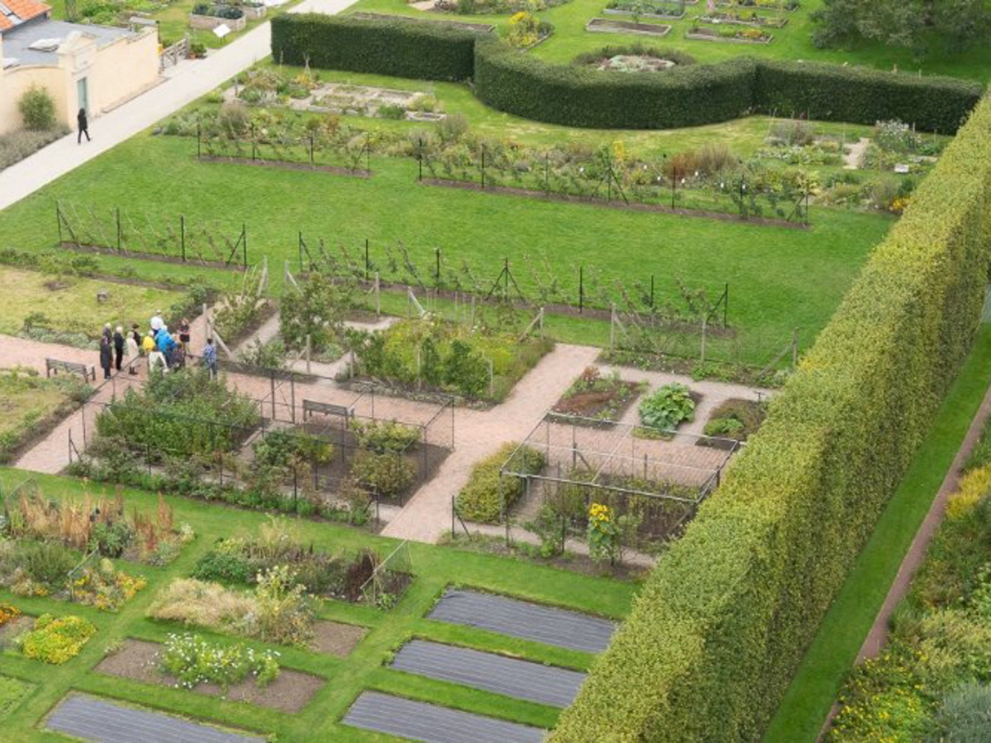 aerial view of the Edible Garden