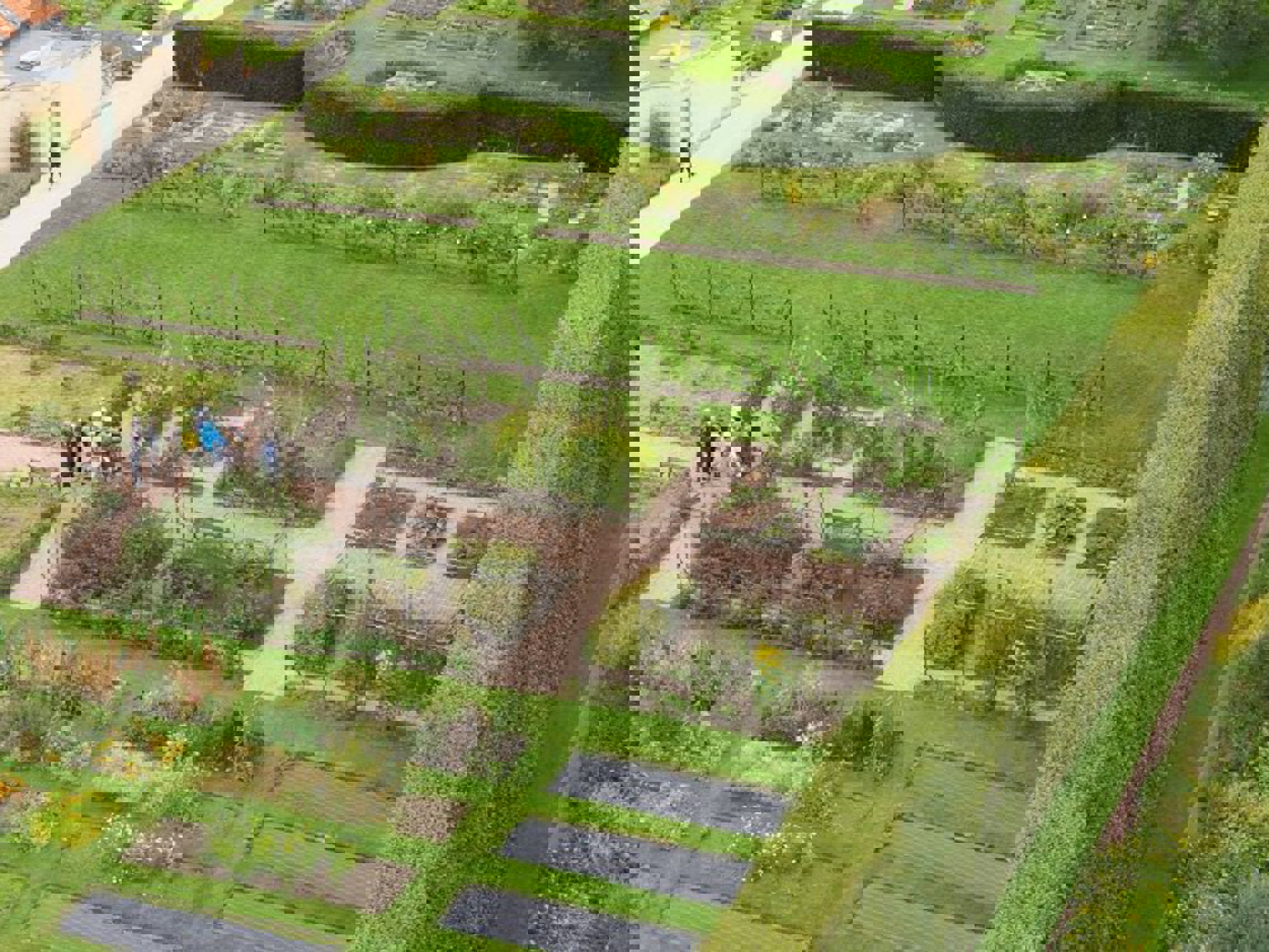 aerial view of the Edible Garden