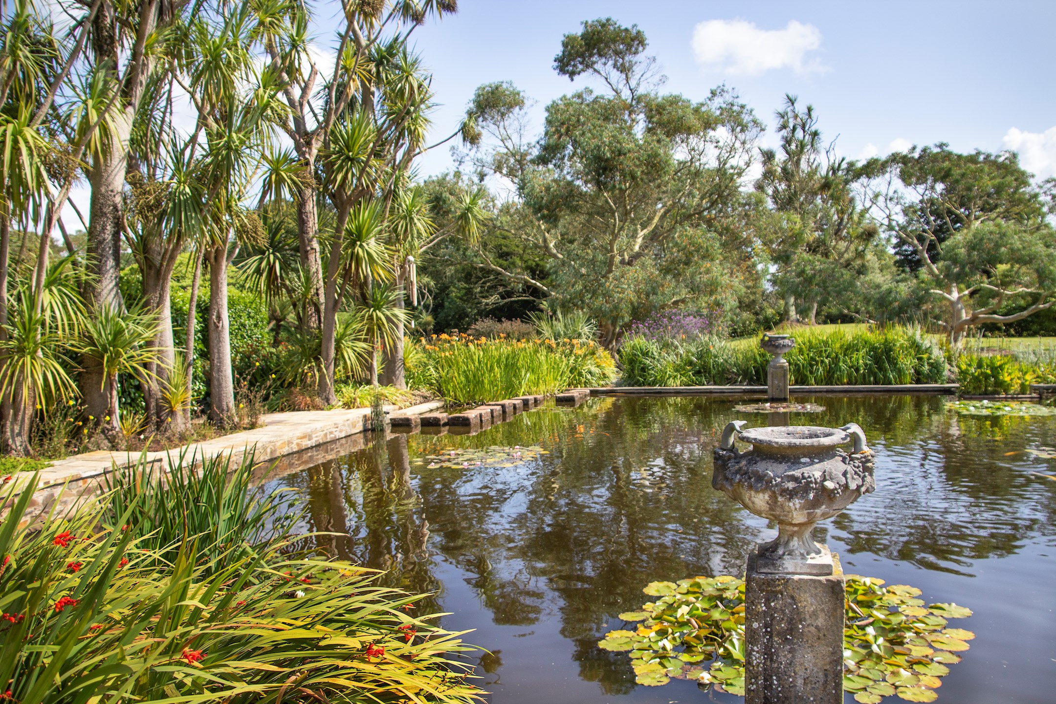 Logan Botanic Garden | Visit | Royal Botanic Garden Edinburgh