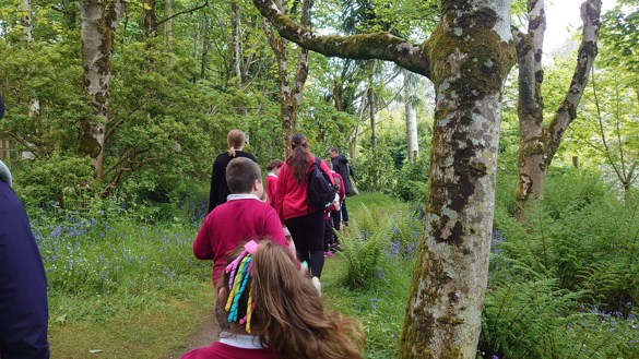 Children walking through a forest with bluebells, wild flowers and trees.